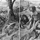 Illustration for article titled The Pig Tooth That Spurred A Century Of Debate About Evolution